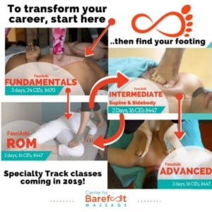the-four-core-levels-of-fasciashi-training